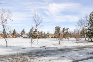 Photo 30: 128 Abbercove Way SE in Calgary: Abbeydale Detached for sale : MLS®# A2024304