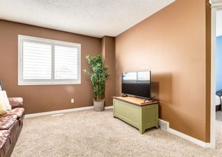 Photo 31: 14 Evansbrooke Place NW in Calgary: Evanston Detached for sale : MLS®# A1186837