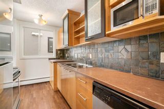 Photo 8: 401 123 24 Avenue SW in Calgary: Mission Apartment for sale : MLS®# A2115992