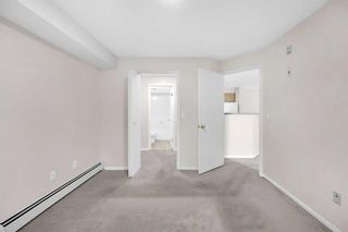 Photo 22: 335 1717 60 Street SE in Calgary: Red Carpet Apartment for sale : MLS®# A2141879