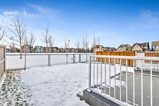 Photo 39: 17 Masters Park SE in Calgary: Mahogany Detached for sale : MLS®# A2013887