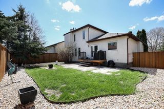 Photo 38: 38 Reese Cove in Winnipeg: Normand Park Residential for sale (2C)  : MLS®# 202211407