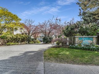 Photo 32: 248 WATERFORD Drive in Vancouver: Marpole Townhouse for sale in "The Springs at Langara" (Vancouver West)  : MLS®# R2871897