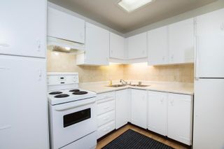 Photo 25: 4823 EARLES Street in Vancouver: Collingwood VE House for sale (Vancouver East)  : MLS®# R2635880