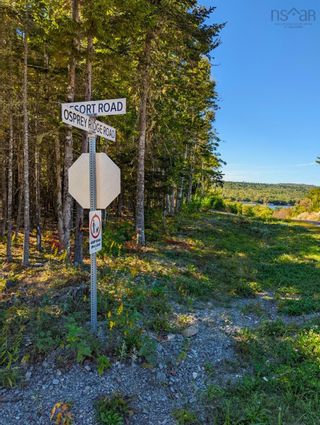 Photo 3: 67 Osprey Ridge Road, Vaughan, Nova Scotia