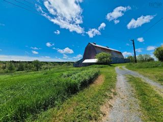 Photo 11: 395 & 397 Shore Road in Egerton: 108-Rural Pictou County Residential for sale (Northern Region)  : MLS®# 202214243