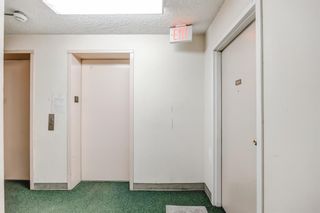 Photo 20: 805 116 3 Avenue SE in Calgary: Chinatown Apartment for sale : MLS®# A2047737