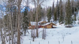 Photo 40: 6016 CUNLIFFE ROAD in Fernie: House for sale : MLS®# 2469130
