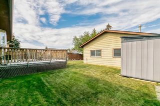 Photo 39: 5504 Temple Way NE in Calgary: Temple Detached for sale : MLS®# A1255847