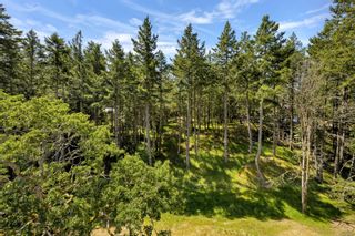 Photo 81: 590 Aquarius Rd in Metchosin: Me Rocky Point House for sale : MLS®# 934527