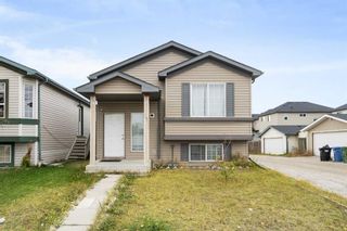 Main Photo: 17 Martinvalley Place NE in Calgary: Martindale Detached for sale : MLS®# A2084319