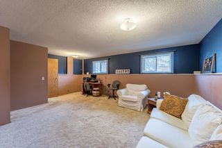 Photo 17: 115 Martinwood Road NE in Calgary: Martindale Detached for sale : MLS®# A1197189