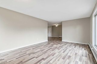 Photo 17: 102 333 Garry Crescent NE in Calgary: Greenview Apartment for sale : MLS®# A2122981