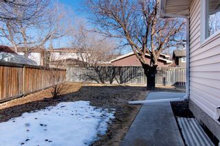 Photo 38: 132 Silver Springs Green NW in Calgary: Silver Springs Detached for sale : MLS®# A1082395