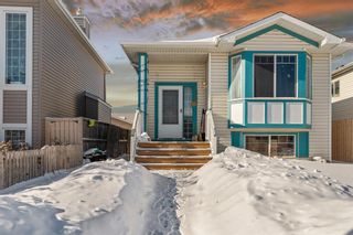 Photo 1: 245 Martinvalley Road NE in Calgary: Martindale Detached for sale : MLS®# A2028645
