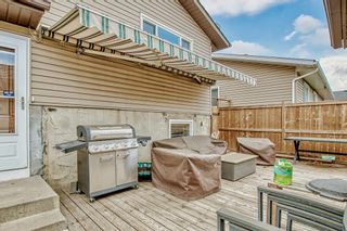 Photo 16: 207 Whitaker Close NE in Calgary: Whitehorn Detached for sale : MLS®# A2047027