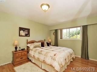 Photo 22: 995 Lucas Ave in Saanich: SE Lake Hill House for sale (Saanich East)  : MLS®# 909878