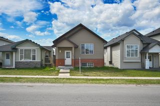 Photo 4: 205 Taracove Road NE in Calgary: Taradale Detached for sale : MLS®# A2055076