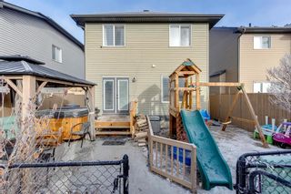 Photo 38: 1665 Baywater Road SW: Airdrie Detached for sale : MLS®# A2019873