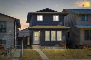Main Photo: 201 Templemont Drive NE in Calgary: Temple Detached for sale : MLS®# A2121864