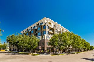 Photo 49: 523 950 Centre Avenue NE in Calgary: Bridgeland/Riverside Apartment for sale : MLS®# A2018931