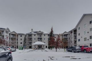 Photo 28: 2119 6224 17 Avenue SE in Calgary: Red Carpet Apartment for sale : MLS®# A2011902