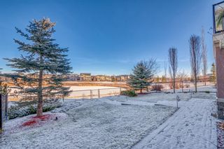 Photo 47: 20 Panatella Manor NW in Calgary: Panorama Hills Detached for sale : MLS®# A1164113