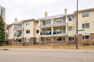Photo 38: 103 2144 Paliswood Road SW in Calgary: Palliser Apartment for sale : MLS®# A1208516