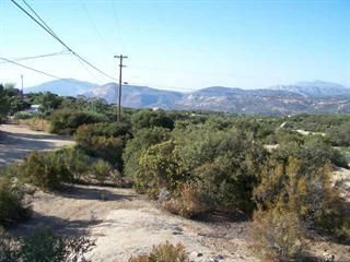 Photo 2: Lot / Land for sale: 000 BIG CAT TRAIL in ALPINE