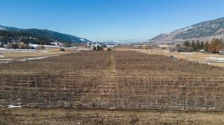 Photo 4: Lot 6/7 Springfield Road, in Coldstream: Agriculture for sale : MLS®# 10271002