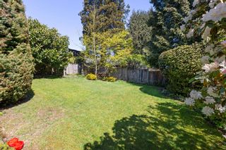 Photo 36: 780 HENDRY Avenue in North Vancouver: Calverhall House for sale : MLS®# R2873813