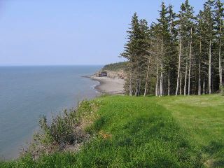 Photo 10: Lot 16 FUNDY BAY Drive in Victoria Harbour: 404-Kings County Vacant Land for sale (Annapolis Valley)  : MLS®# 201902464