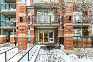 Photo 4: 405 323 20 Avenue SW in Calgary: Mission Apartment for sale : MLS®# A2013759