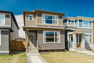 Photo 1: 59 Wolf Hollow Way SE in Calgary: C-281 Detached for sale : MLS®# A1211965