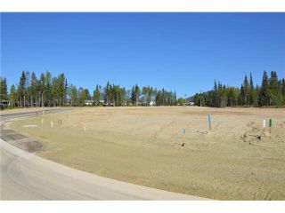 Photo 15: LOT 4 BELL Place in Mackenzie: Mackenzie -Town Land for sale in "BELL PLACE" : MLS®# N227296