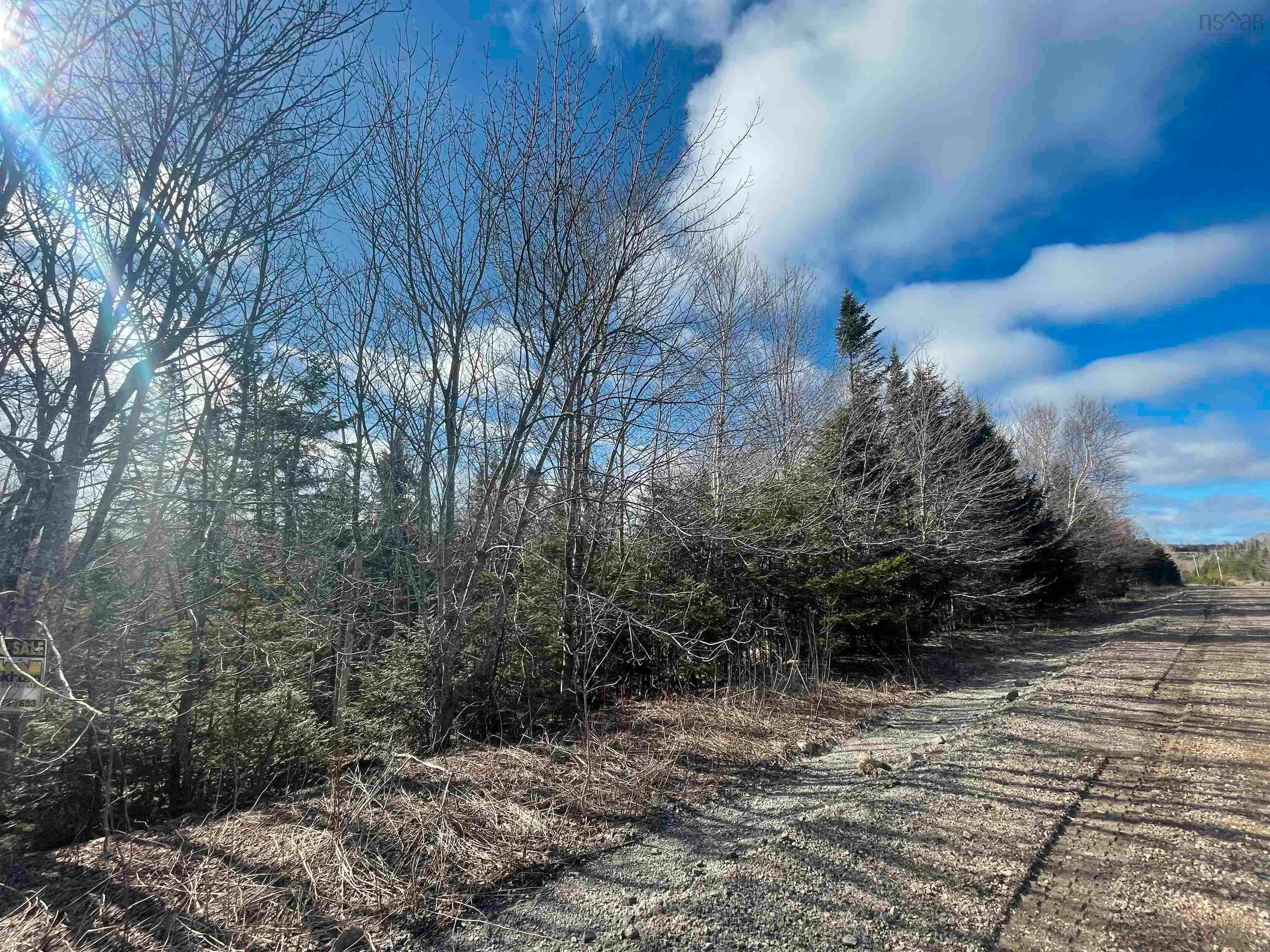 Main Photo: Lot Laggan Road in Laggan: 108-Rural Pictou County Vacant Land for sale (Northern Region)  : MLS®# 202307007