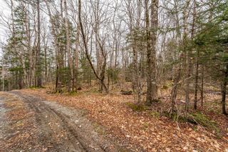 Photo 43: 2448 Highway 1 in Grosses Coques: Digby County Vacant Land for sale (Annapolis Valley)  : MLS®# 202405526