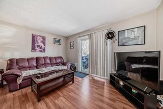 Photo 6: 59 Falchurch Road NE in Calgary: Falconridge Semi Detached (Half Duplex) for sale : MLS®# A2130839