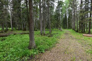 Main Photo: 463075 Range Road 64 in Rural Wetaskiwin No. 10, County of: Rural Wetaskiwin County Residential Land for sale : MLS®# A1196634