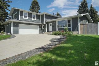 Photo 3: 8611 BUENA VISTA Road in Edmonton: Zone 10 House for sale : MLS®# E4304263