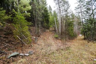 Photo 14: 2189 Barriere Lakes Road in Barriere: BA Land Only for sale (NE)  : MLS®# 171856
