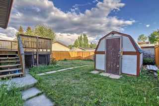 Photo 24: 135 Abadan Place NE in Calgary: Abbeydale Detached for sale : MLS®# A2052768