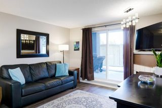Photo 10: 3109 2280 68 Street NE in Calgary: Monterey Park Apartment for sale : MLS®# A1192029