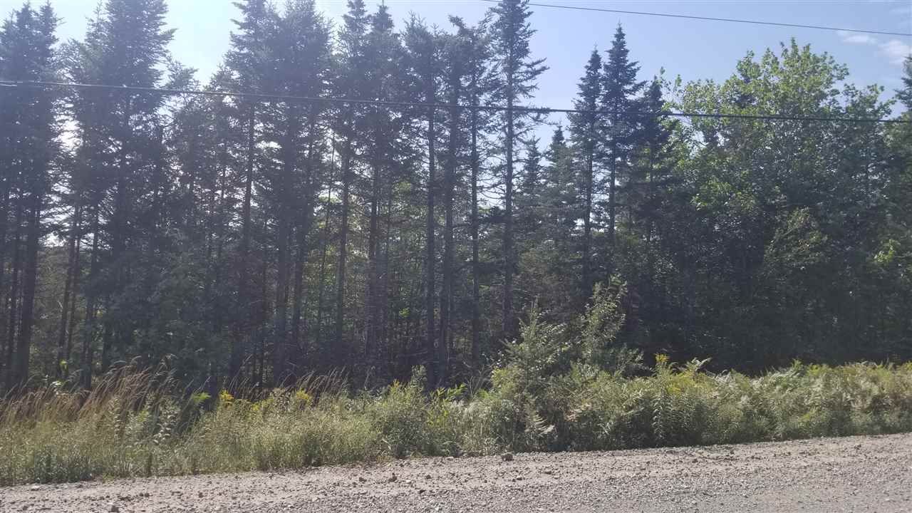 Main Photo: Lot 1 Moose River Road in Lindsay Lake: 35-Halifax County East Vacant Land for sale (Halifax-Dartmouth)  : MLS®# 201921607