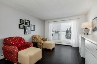 Photo 4: 412A 4455 Greenview Drive NE in Calgary: Greenview Apartment for sale : MLS®# A2124113