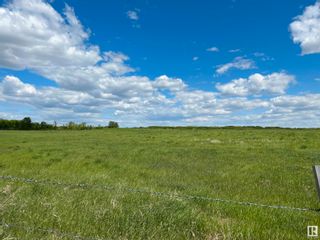Photo 1: Twp 564 & Range Road 230: Rural Sturgeon County Rural Land/Vacant Lot for sale : MLS®# E4297561