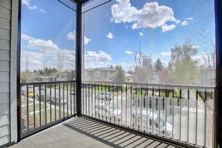 Photo 25: 4305 1317 27 Street SE in Calgary: Albert Park/Radisson Heights Apartment for sale : MLS®# A1107979