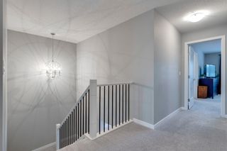 Photo 17: 28 Cranbrook Circle SE in Calgary: Cranston Detached for sale : MLS®# A1173351