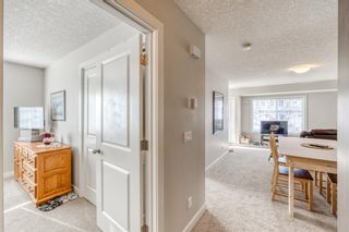 Photo 25: 144 300 Marina Drive: Chestermere Apartment for sale : MLS®# A1196987