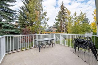 Photo 46: 129 Mckenzie Lake Gardens SE in Calgary: McKenzie Lake Detached for sale : MLS®# A1259474